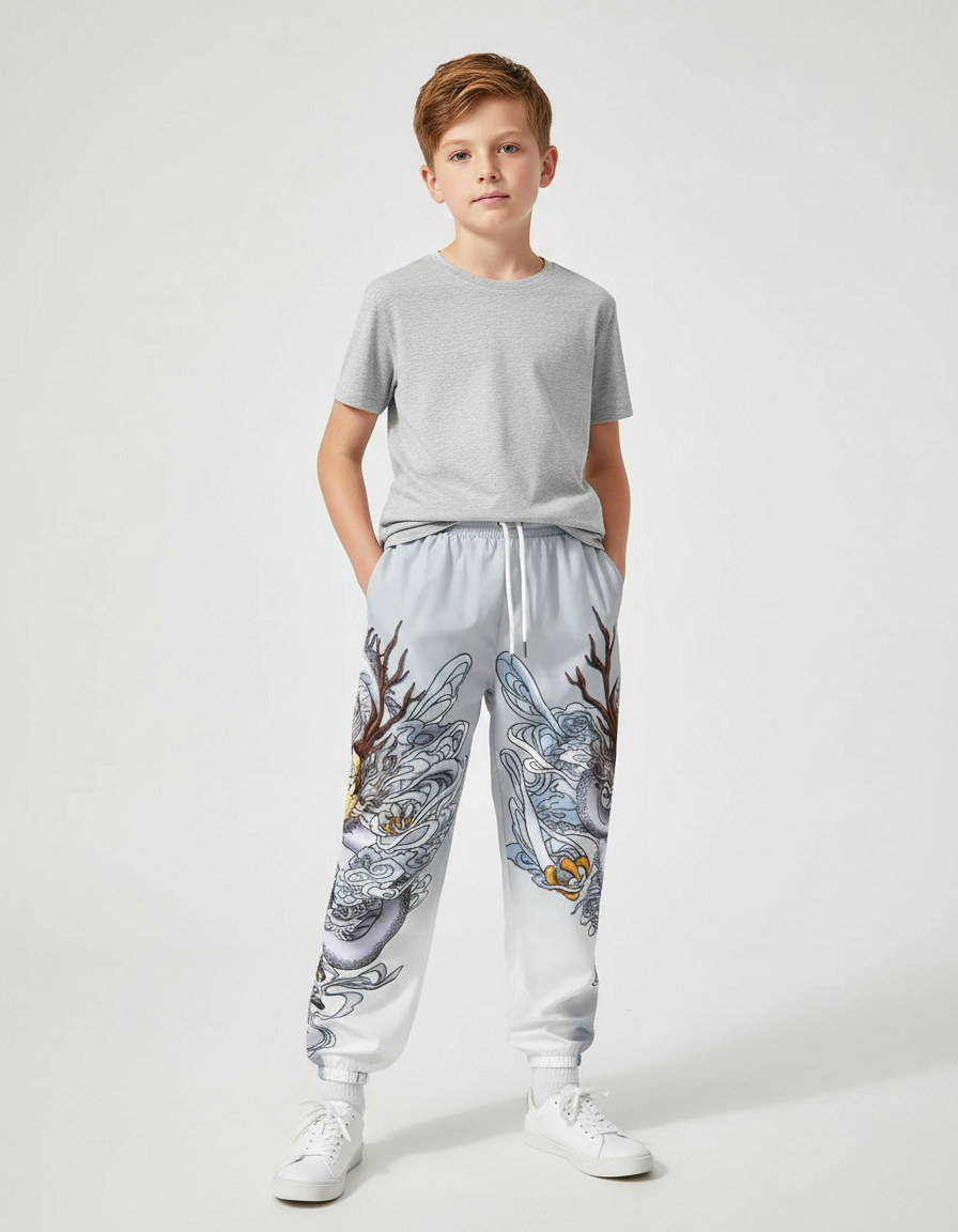 Pantalon Chinois Gris Dragon Streetwear Garçon Jogger - Polyester