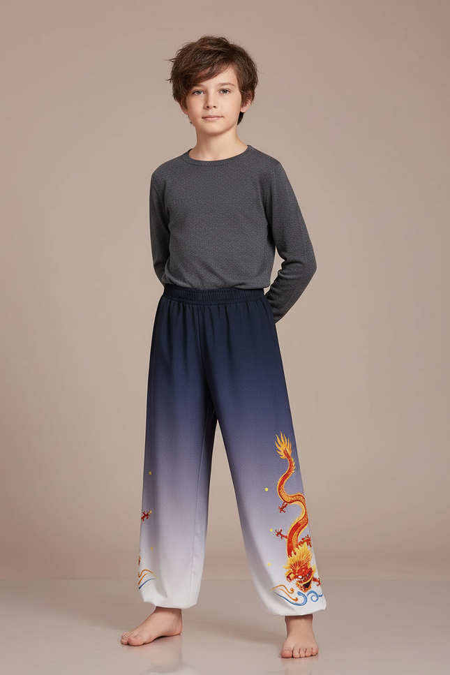 Pantalon Chinois Dégradé Bleu Dragon Brodé Enfant - Multicolore Polyester