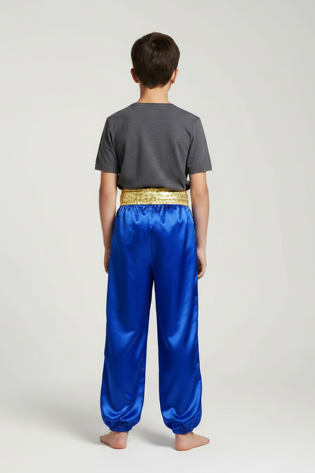 Pantalon Chinois Bleu Satiné Ample Brodé Dragon - vue 2