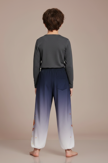 Pantalon Chinois Dégradé Bleu Dragon Brodé Enfant - Multicolore Polyester - vue 2