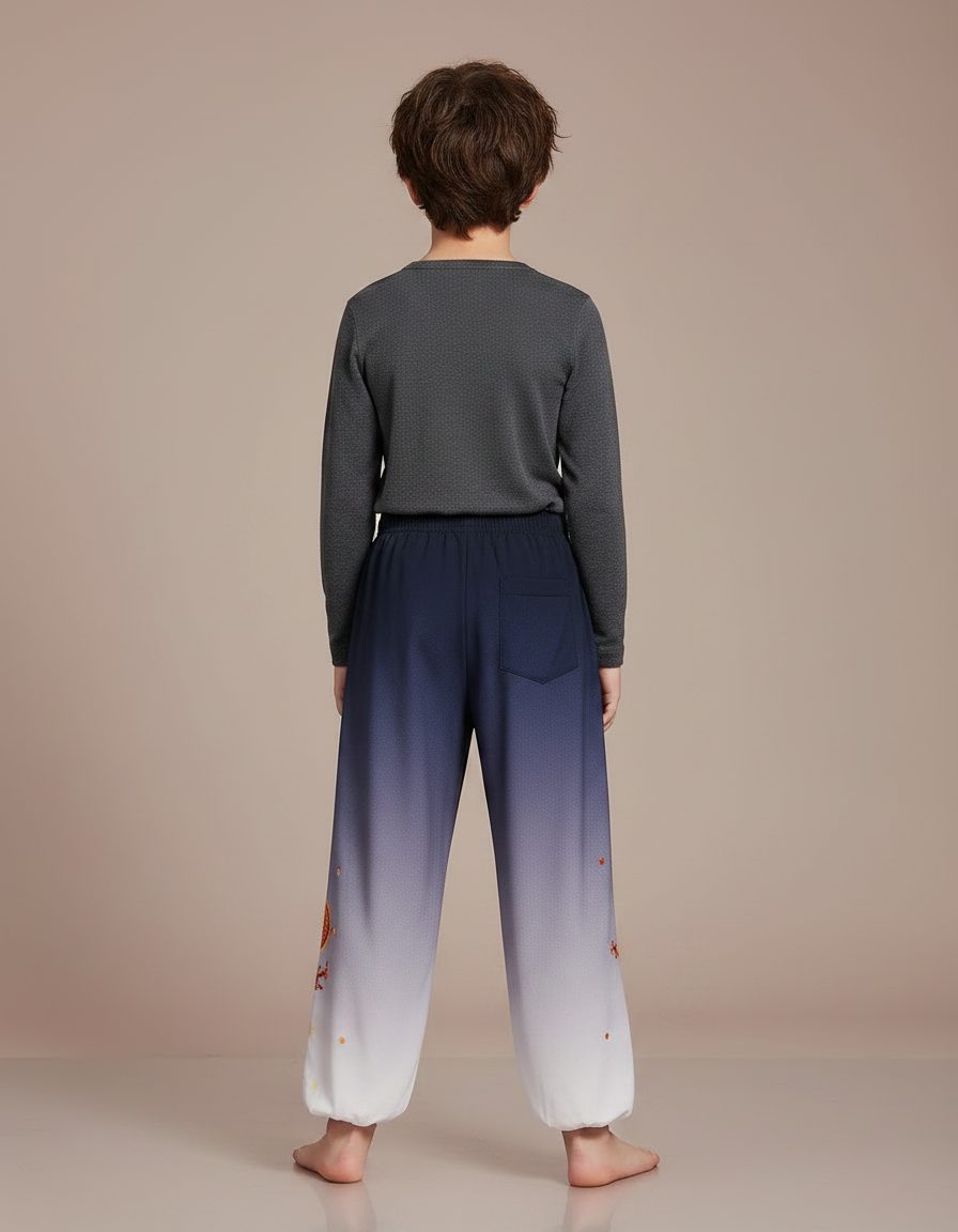 Pantalon Chinois Dégradé Bleu Dragon Brodé Enfant - Multicolore Polyester - vue 2