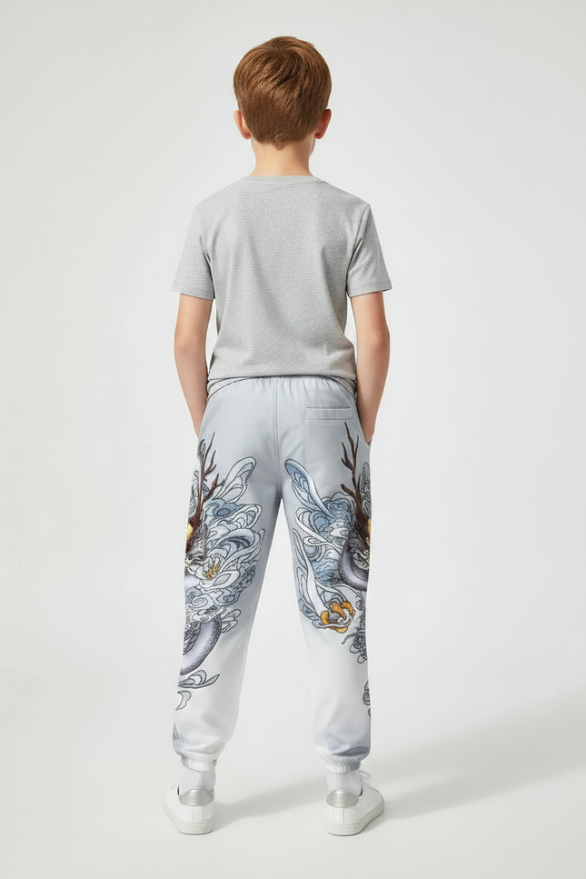 Pantalon Chinois Gris Dragon Streetwear Garçon Jogger - Polyester - vue 2