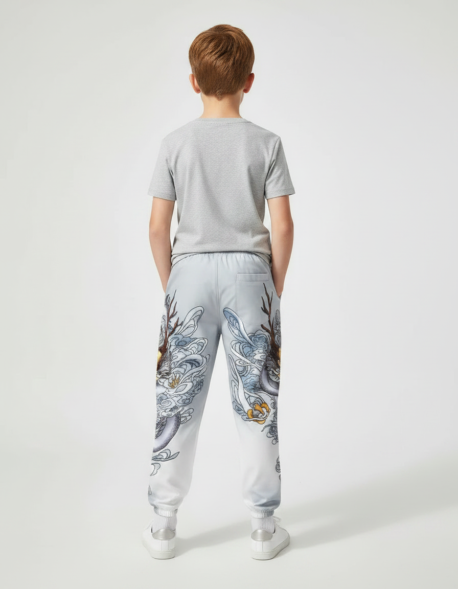 Pantalon Chinois Gris Dragon Streetwear Garçon Jogger - Polyester - vue 2