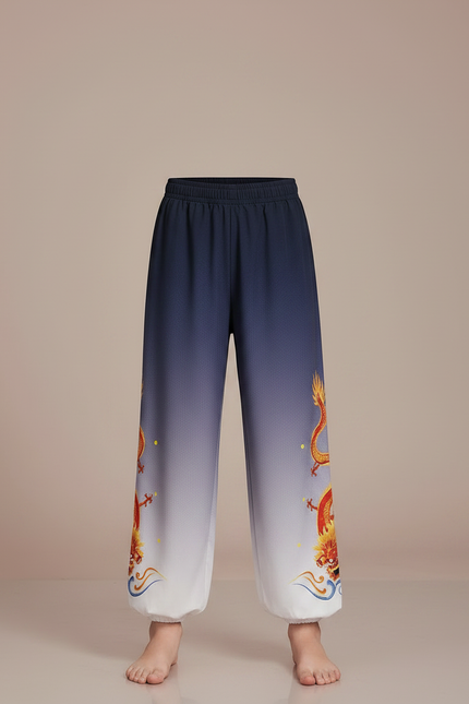 Pantalon Chinois Dégradé Bleu Dragon Brodé Enfant - Multicolore Polyester - vue 3