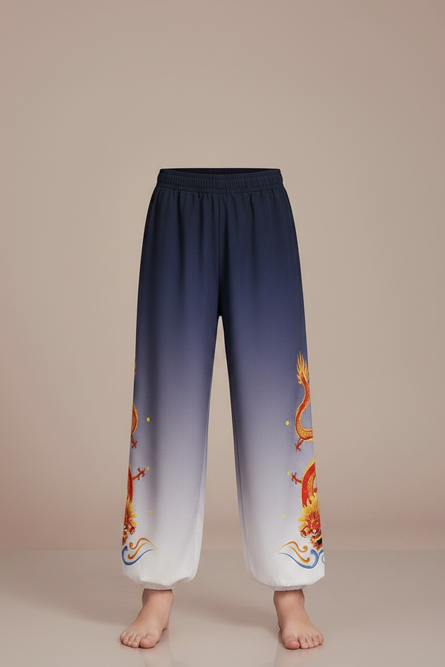 Pantalon Chinois Dégradé Bleu Dragon Brodé Enfant - Multicolore Polyester - vue 3
